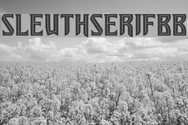 SleuthSerifBB Font examples