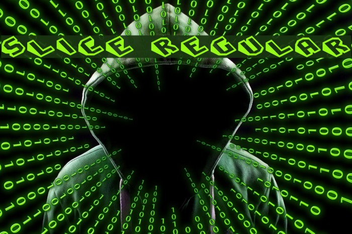 Slice Regular Example 3