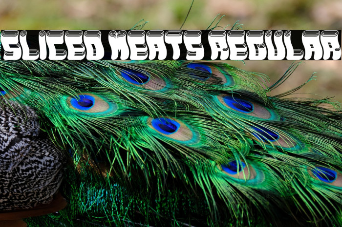 Sliced Meats Regular Example 3