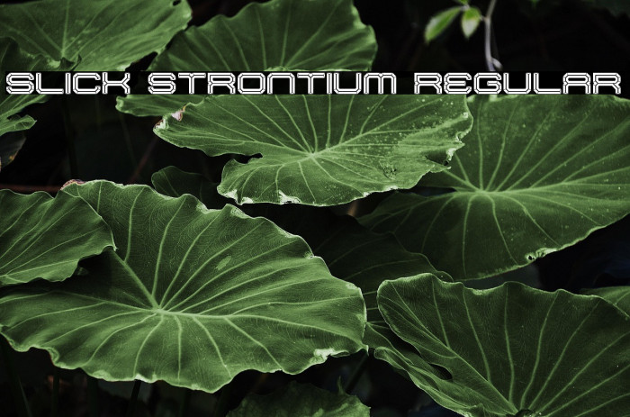 Slick Strontium Regular Example 2