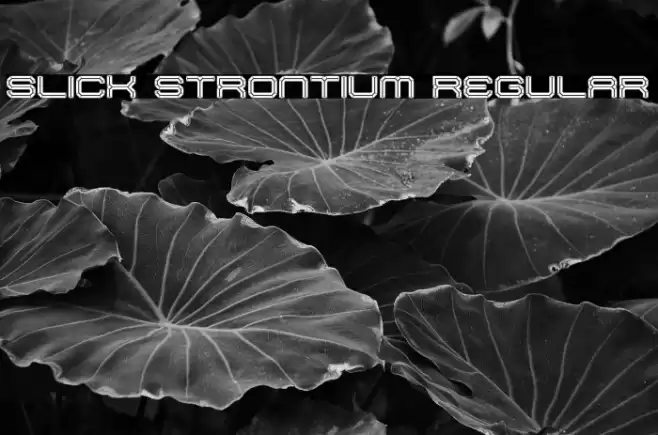 Slick Strontium Regular Font examples