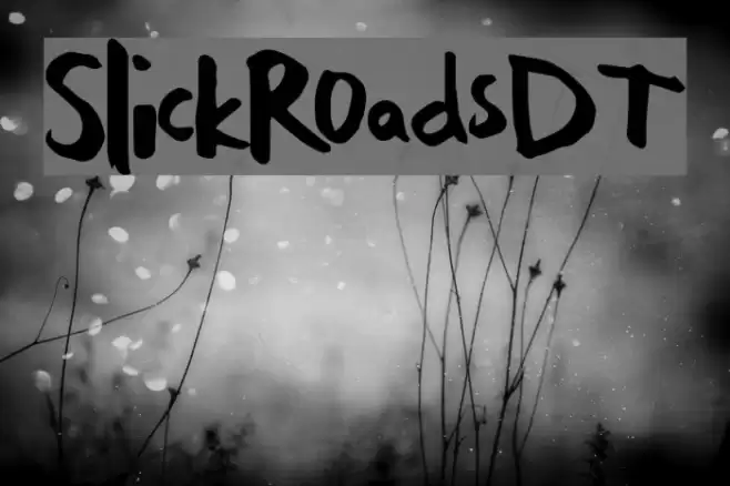 SlickRoadsDT Font examples