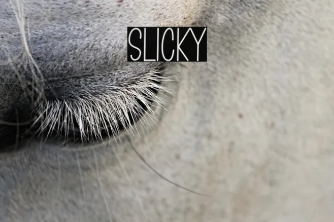 Slicky Example 2