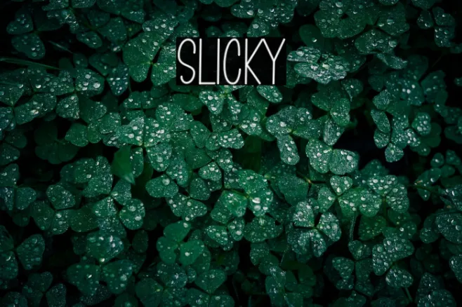 Slicky Example 3