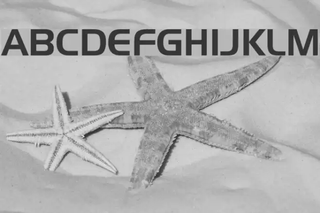 Slider Regular Polices examples