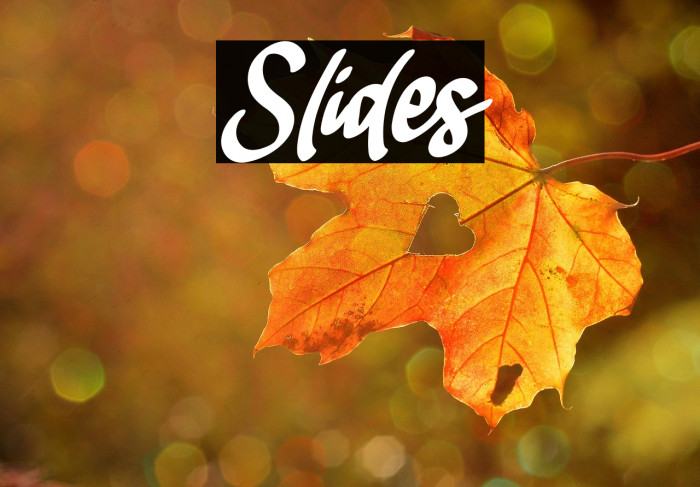 Slides Example 2