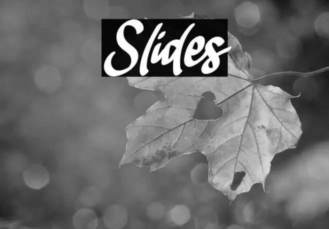 Slides Font examples