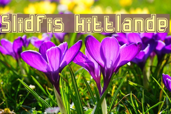 Slidfis kittlande Font examples