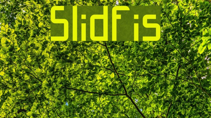 Slidfis Font examples