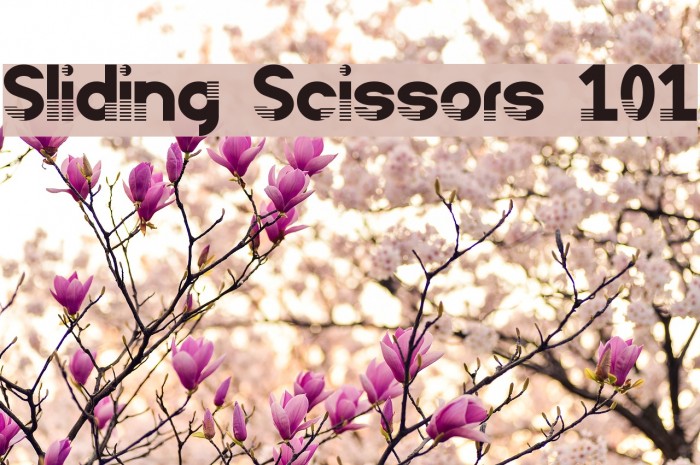 Sliding Scissors 101 Font examples