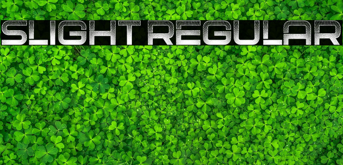 Slight Regular Example 2