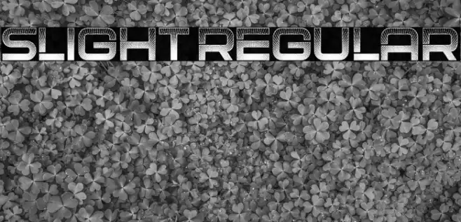 Slight Regular Font examples