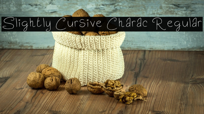 Slightly Cursive Charac Regular Example 1