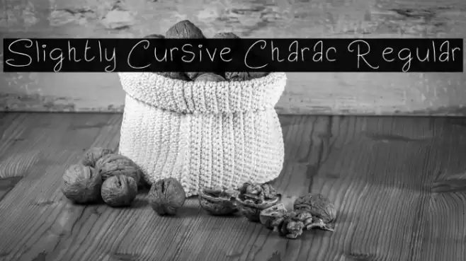 Slightly Cursive Charac Regular Fonte examples