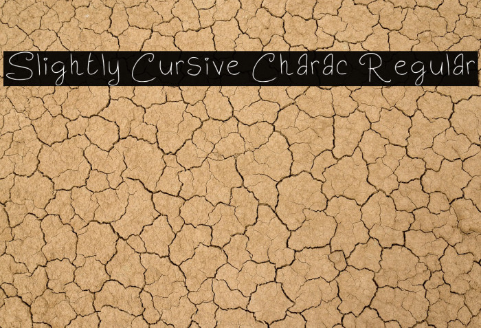 Slightly Cursive Charac Regular Example 2