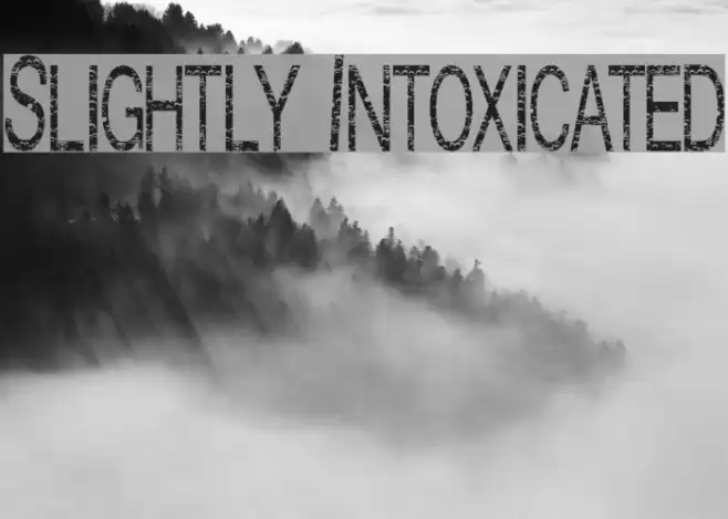 Slightly Intoxicated Fuentes examples