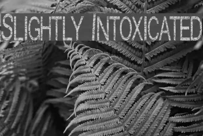 Slightly Intoxicated Fuentes examples