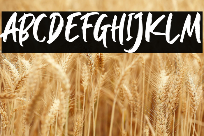 SlightlyMarkerDEMO Example 1