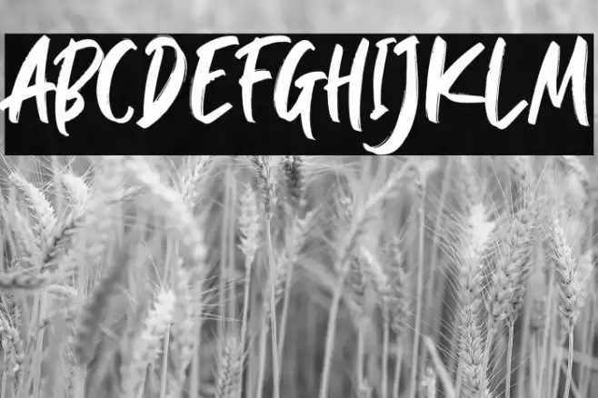 SlightlyMarkerDEMO Font examples