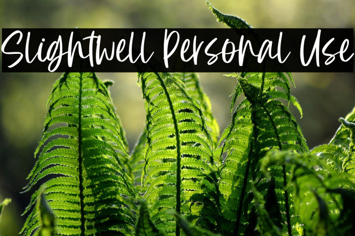 Slightwell Personal Use Example 3