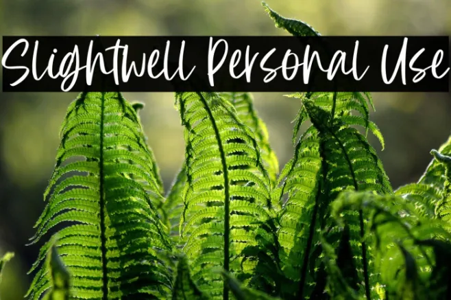 Slightwell Personal Use Example 3