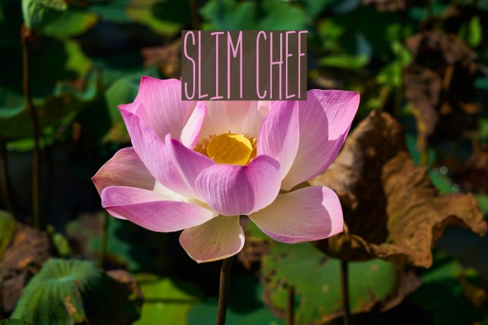 Slim Chef Font examples
