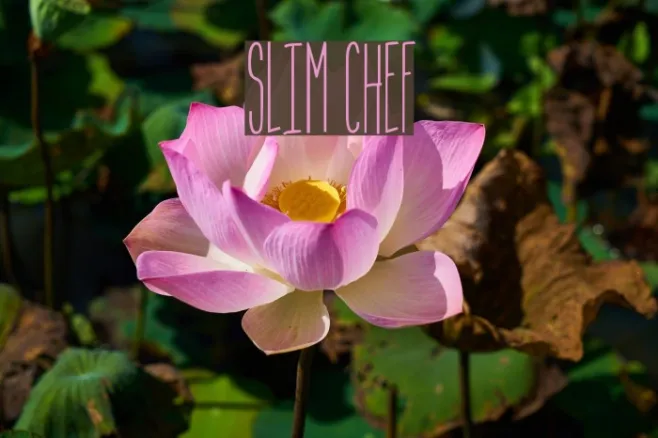 Slim Chef Example 1