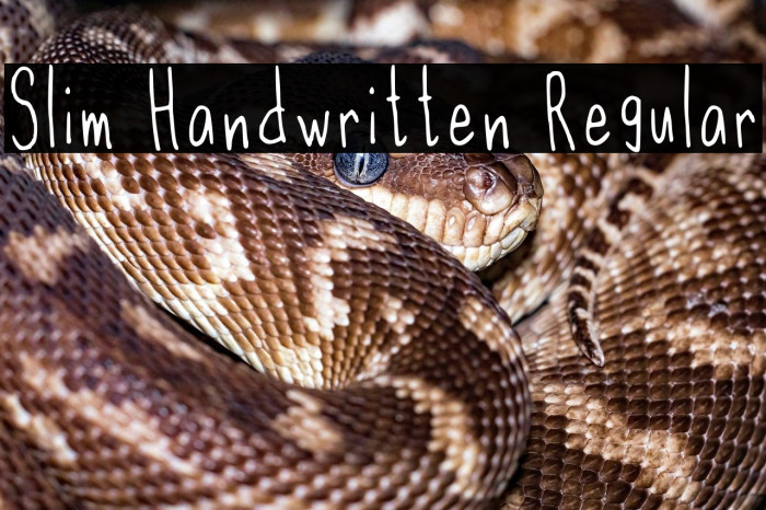 Slim Handwritten Regular Example 1