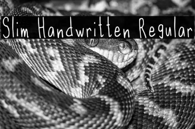 Slim Handwritten Regular Font examples