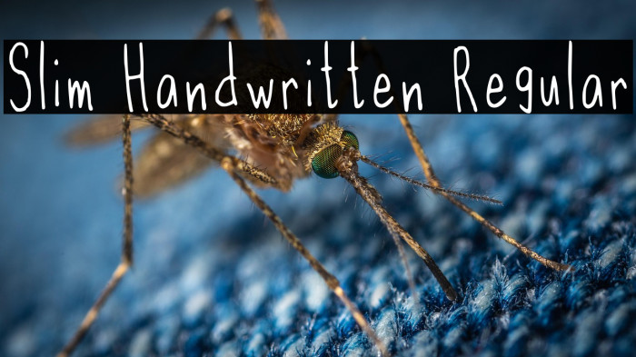 Slim Handwritten Regular Example 2