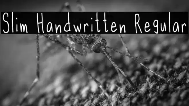 Slim Handwritten Regular Font examples