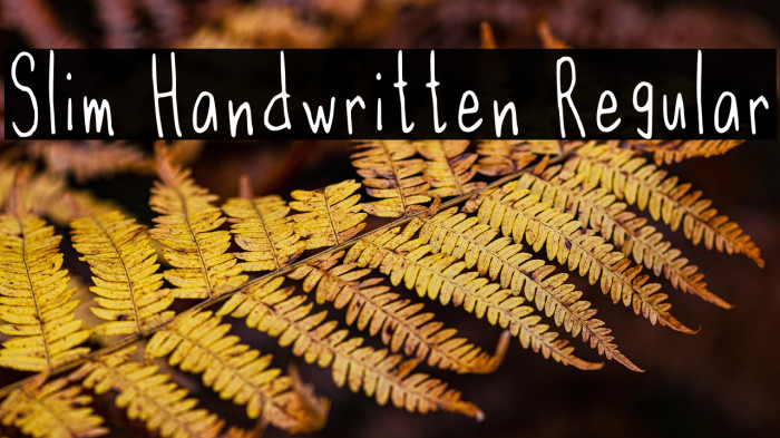 Slim Handwritten Regular Example 3