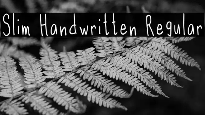 Slim Handwritten Regular Font examples