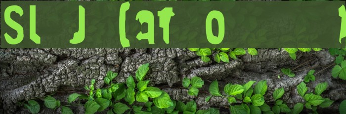 Slim Jim [part one] Example 3