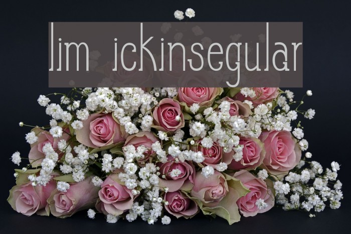 Slim PickinsRegular Example 1