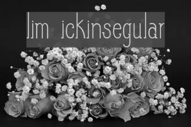 Slim PickinsRegular Font examples