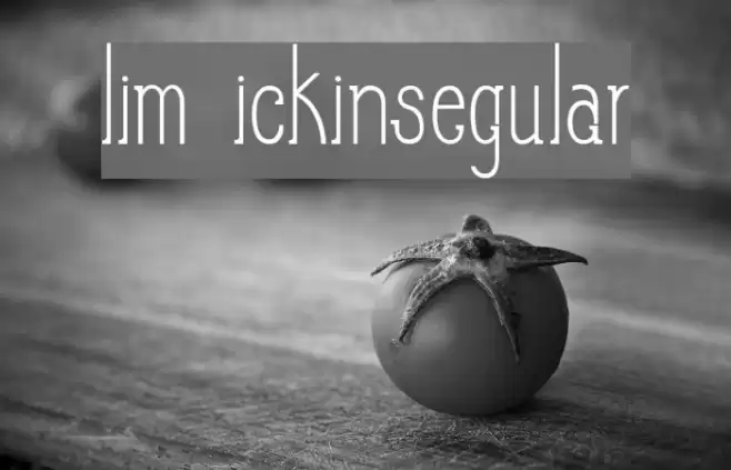 Slim PickinsRegular Font examples