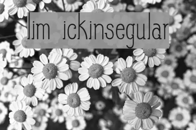 Slim PickinsRegular Font examples