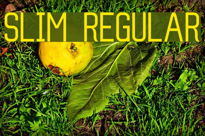 Slim Regular Font examples