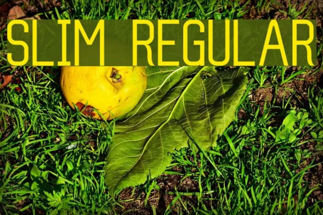Slim Regular Example 1
