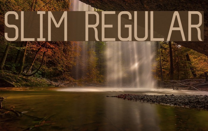 Slim Regular Font examples