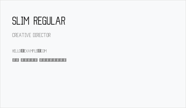 Slim Regular Business Card