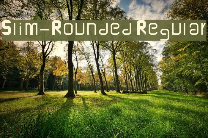 Slim-Rounded Regular Font examples