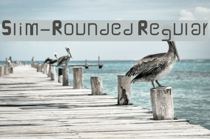 Slim-Rounded Regular Font examples