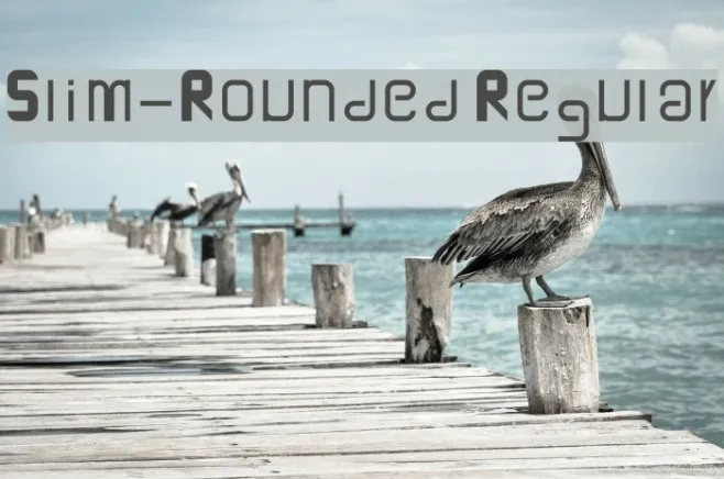 Slim-Rounded Regular Example 3