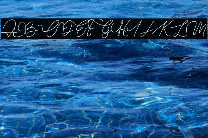 Slim Simple Example 2