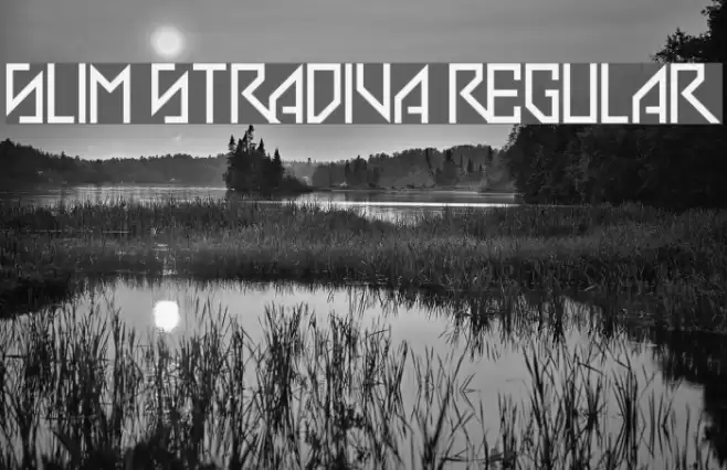 Slim Stradiva Regular Font examples