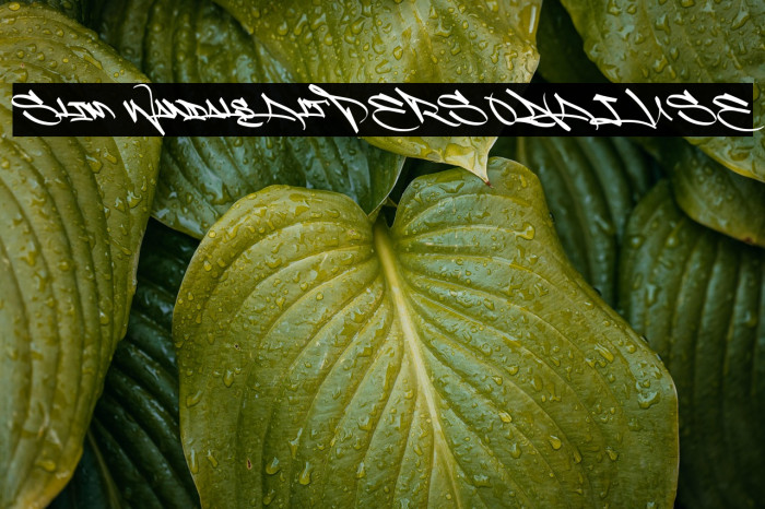 Slim Wandals Alt PERSONAL USE Example 1