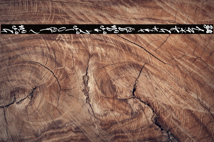 Slim Wandals Element PERSONAL Example 3