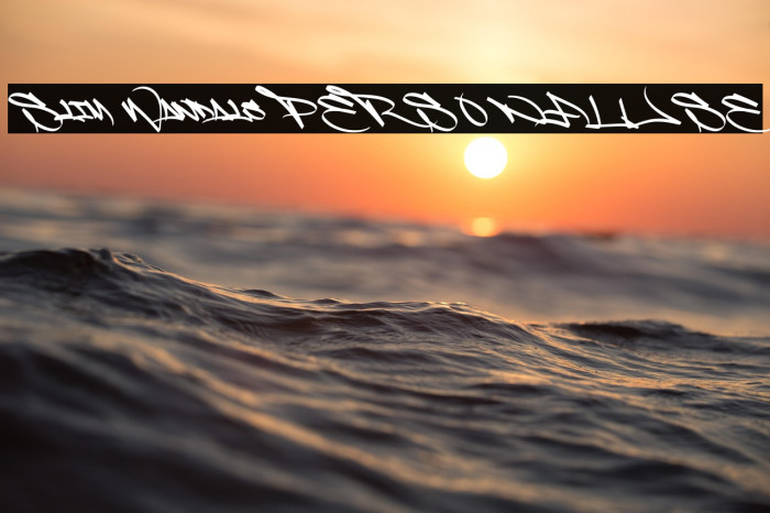 Slim Wandals PERSONAL USE Example 3